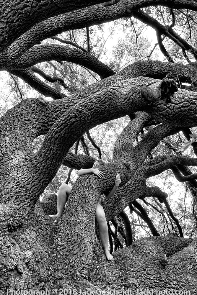 woman-hugging-tree-photograph-by-Jack-Gescheidt-JackPhoto.com