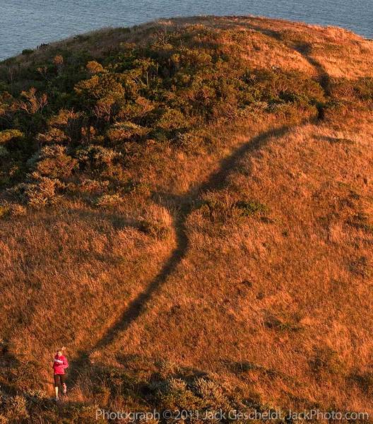 hillside trail runner